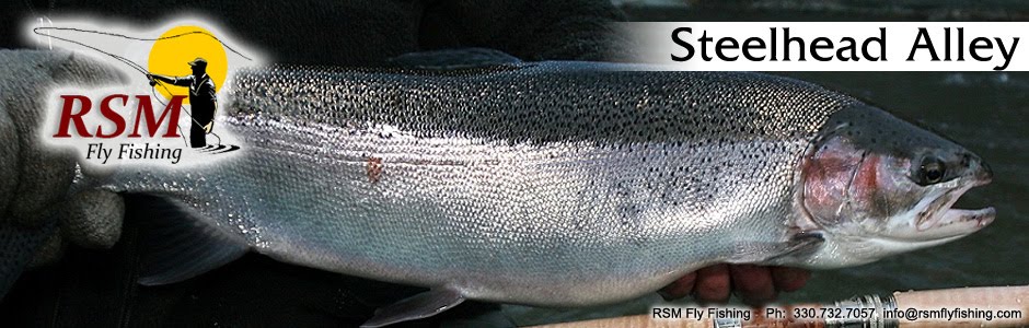 Steelhead