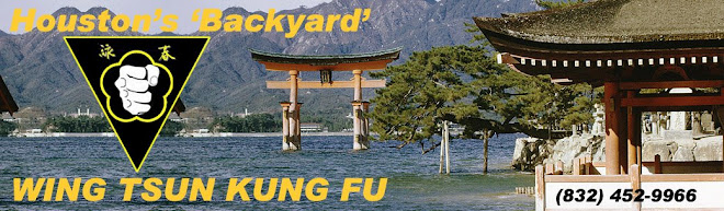 Houston's 'Backyard' Wing Tsun Kung Fu