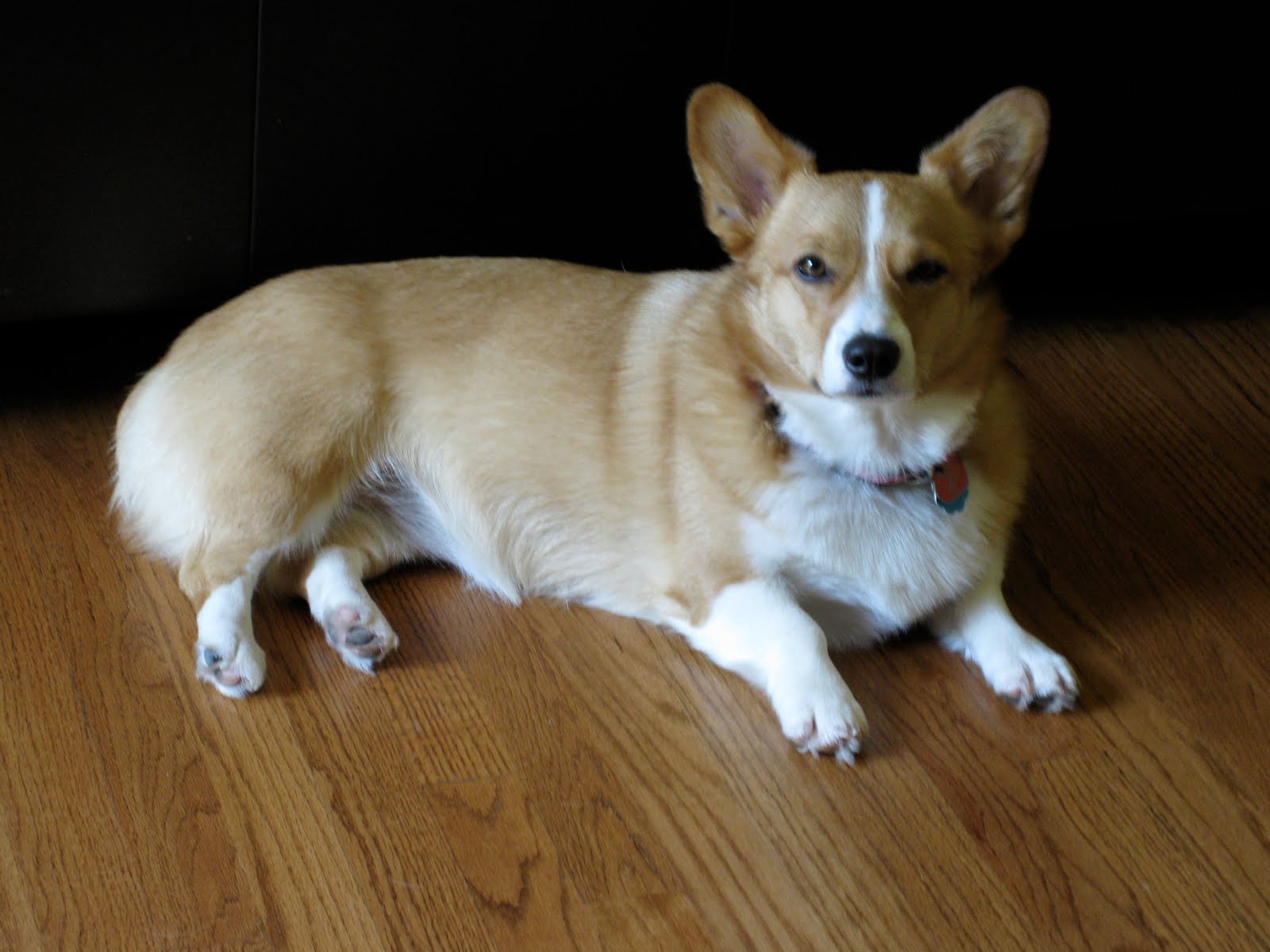 [addie5]