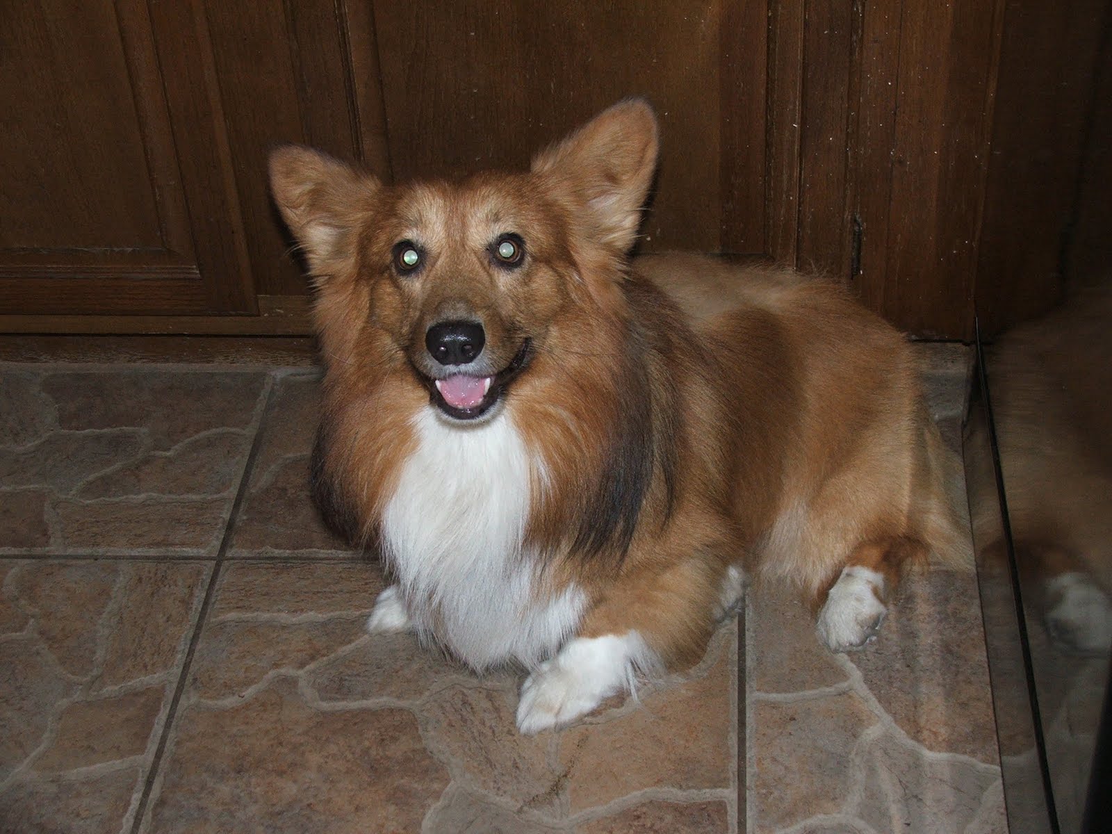 [toby]