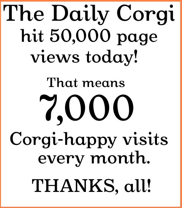 [50000.bmp]