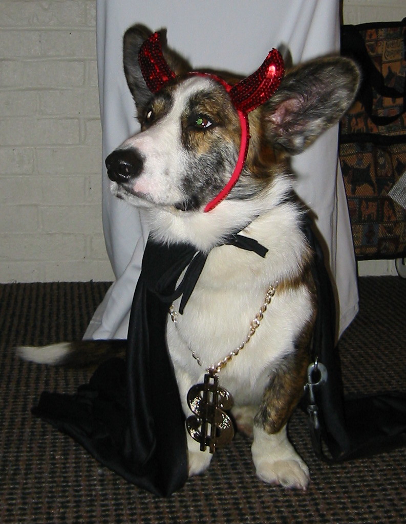 [wilson+root+of+all+evil.jpg]