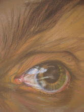 El ojo de cielo