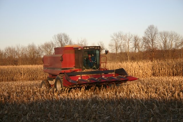 [riding+on+the+combine+2.JPG]