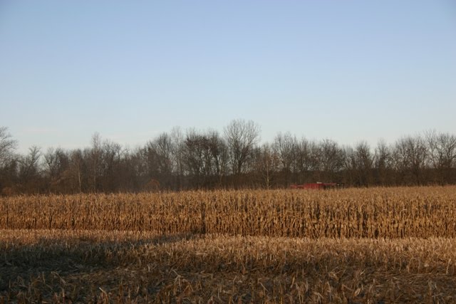 [combine+in+field.JPG]