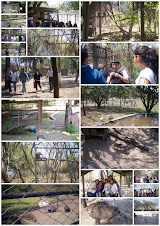 Salidas & Experiencias Escolares