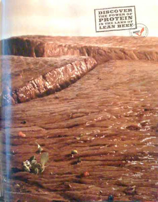 Ad featuring three brown shiny surfaces with what appear to be crevices between them