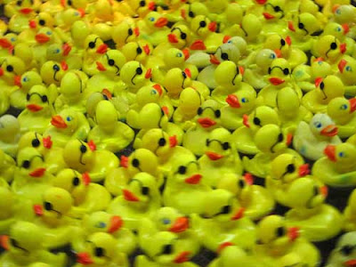 Yellow plastic ducks with orange bills, some with black sunglasses