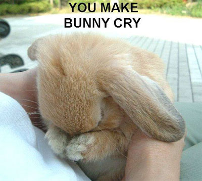 [Bunny+Cry.jpg]