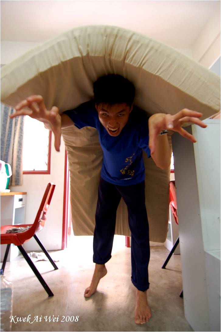 [04+-+mattress+monster.jpg]