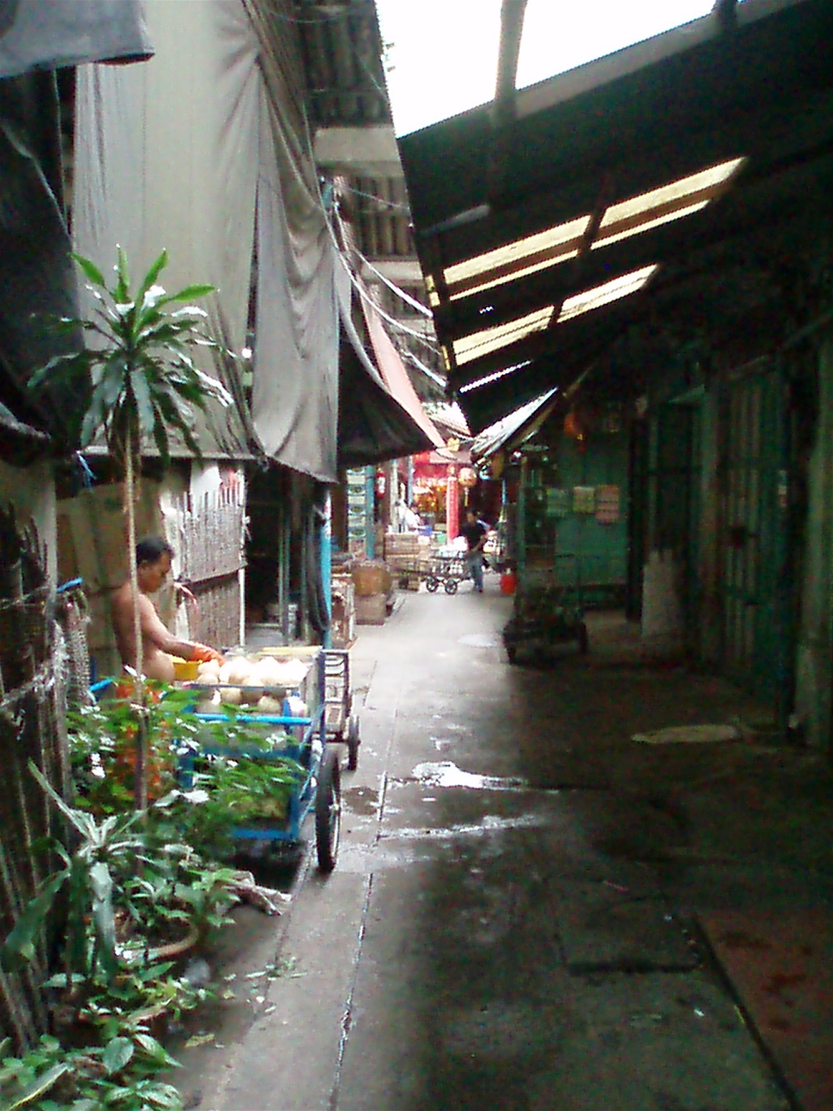 [PB250439.JPG]