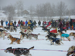 Canadian Challange