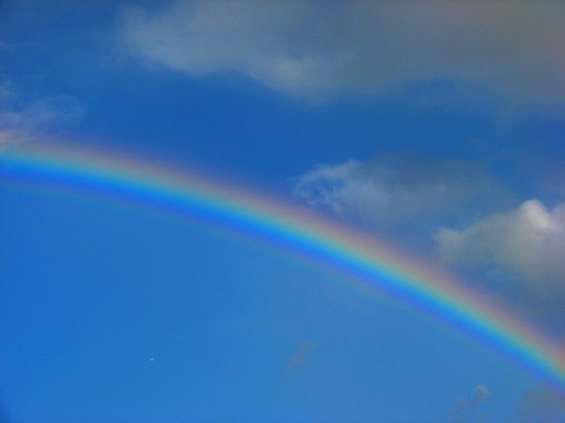 [rainbow.jpg]