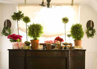 tricia foley in country home: topiaries | simple pretty