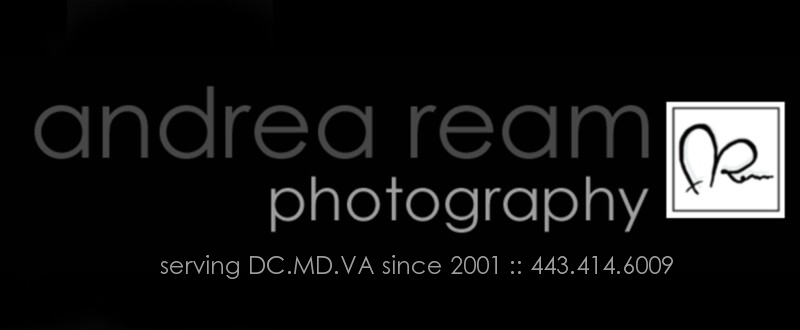 Andrea Ream Photography