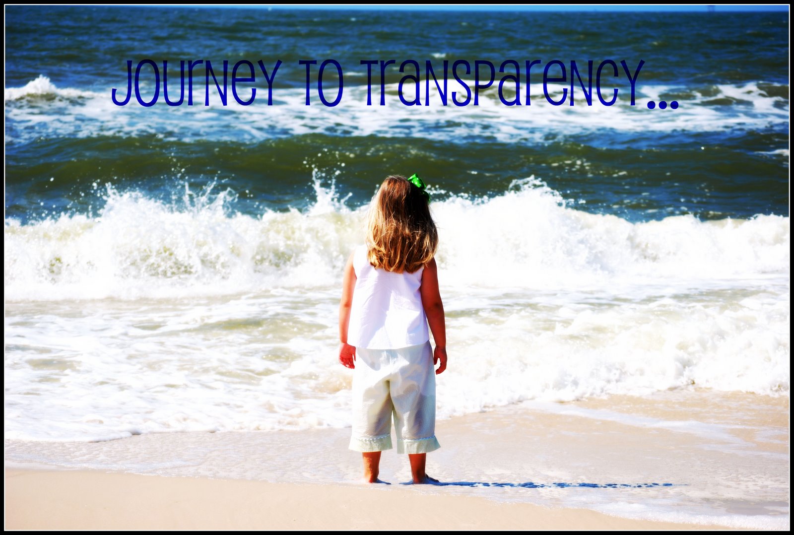 Journey To Transparency...