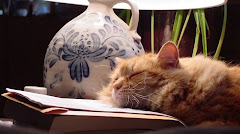 Outros Selos no Blog Abaixo