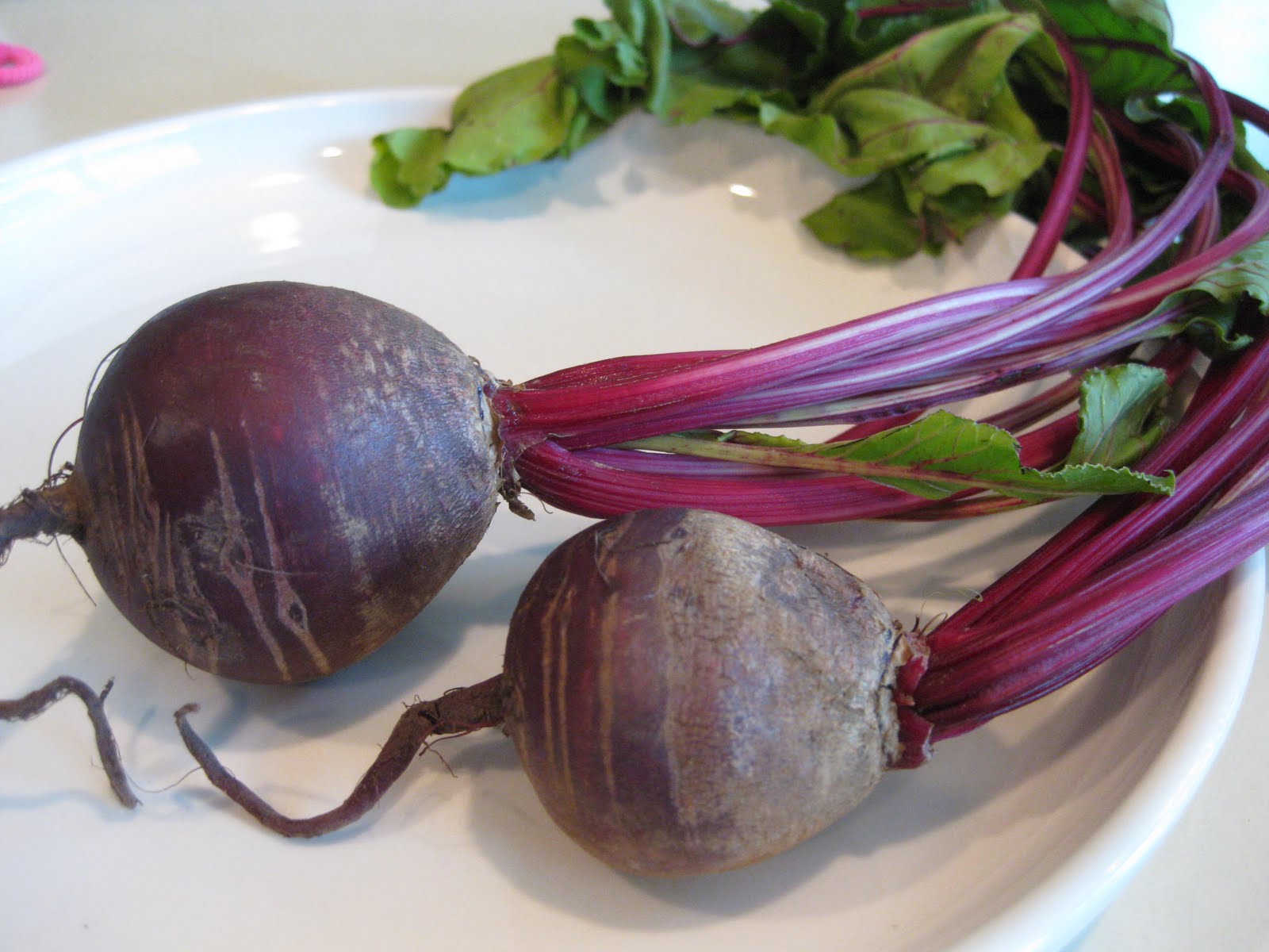 Beet Pics