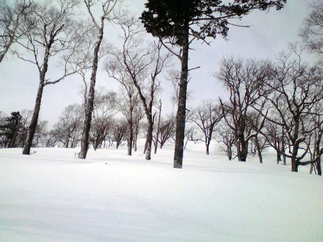 [2010021014540000.jpg]