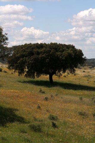 [IMG_0076.JPG]