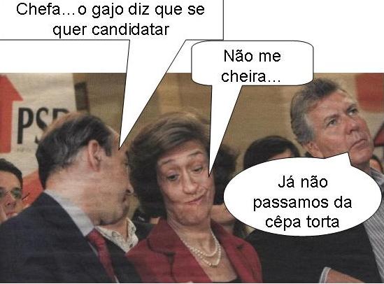 [chefa.jpg]