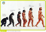 Nossa evolução através dos séculos