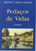 Pedaços de vida