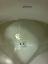 urinario set a ojo de águila..