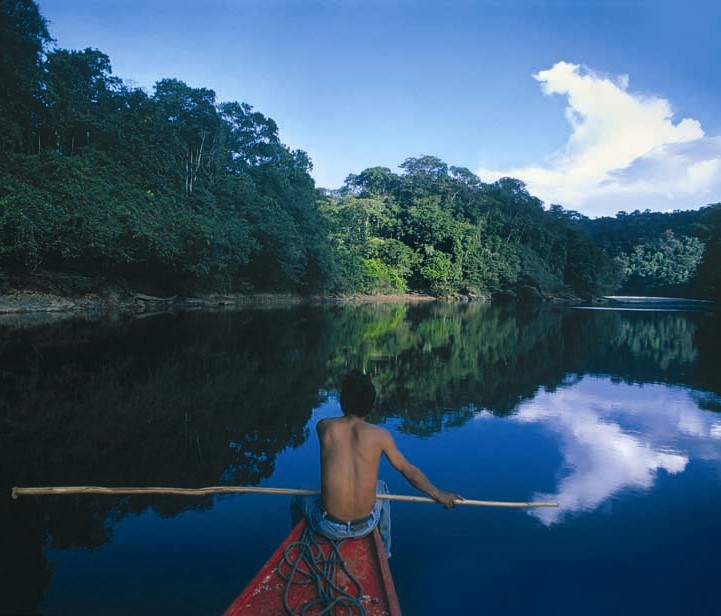 [Amazonia-Peruana.jpg]