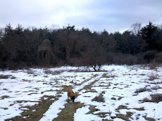 Round Meadow