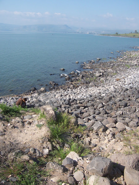 Capernaum's Shore