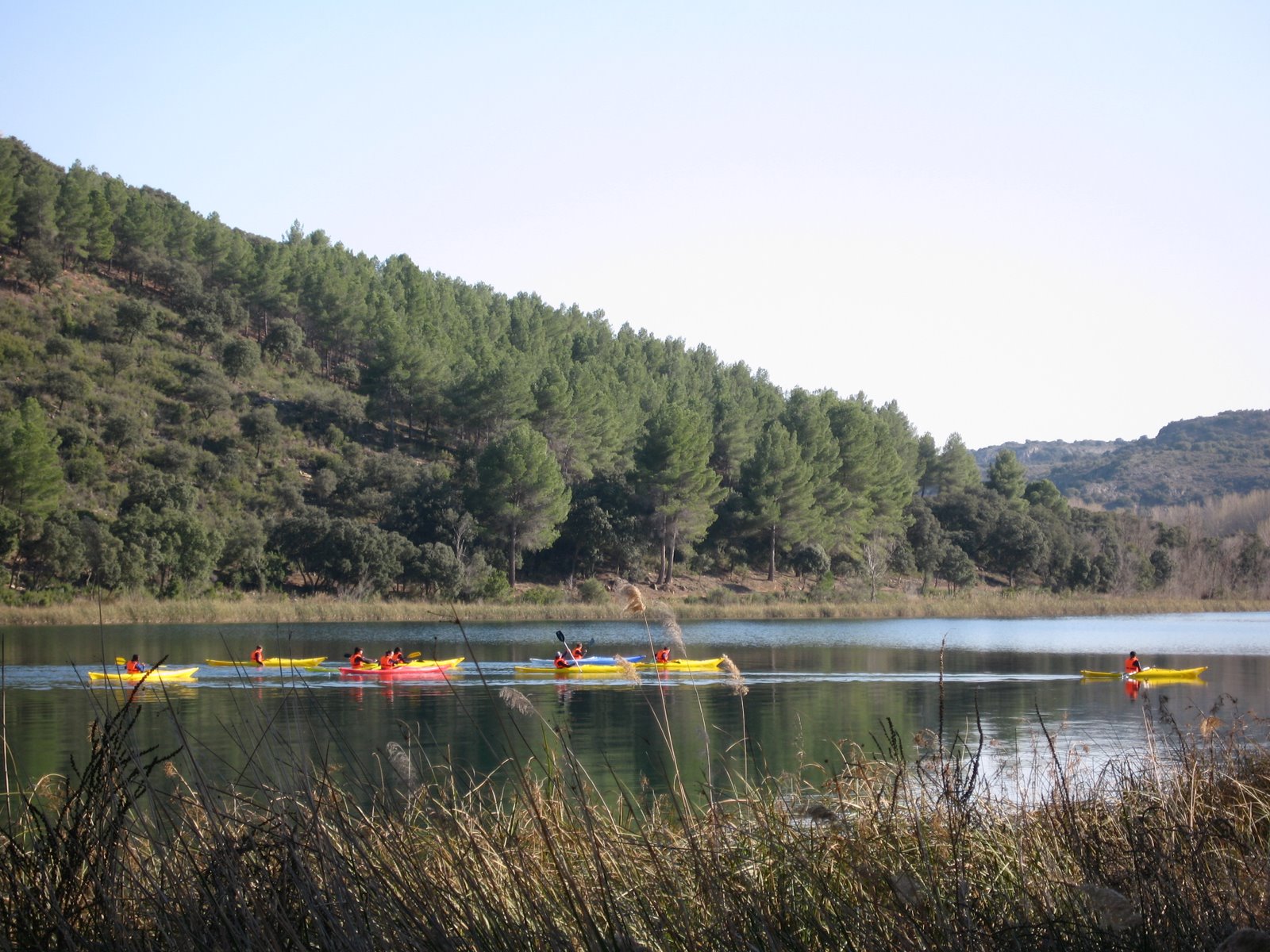[IMG_7879.JPG]