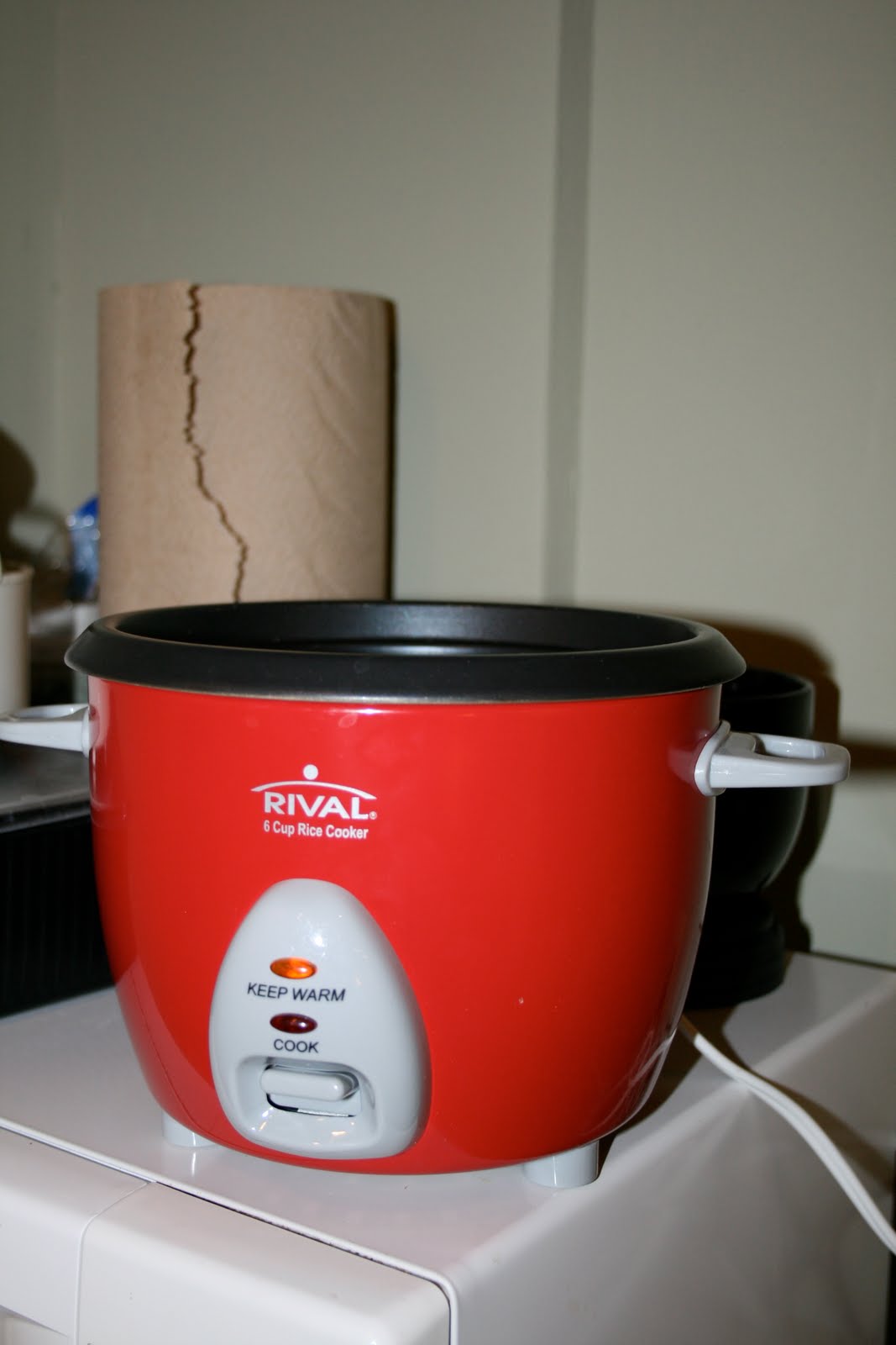 Little Me in the Big D Rice Cooker Udon Noodle Soup