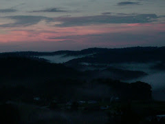 Sunset in my back yard