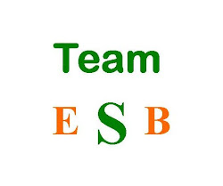 Team ESB web site