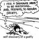 self-discovery of a gadfly