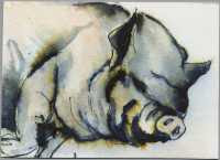 Anonymous Artist - Pig (2007)