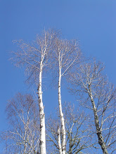 Castro Laboreiro, Março de 2007