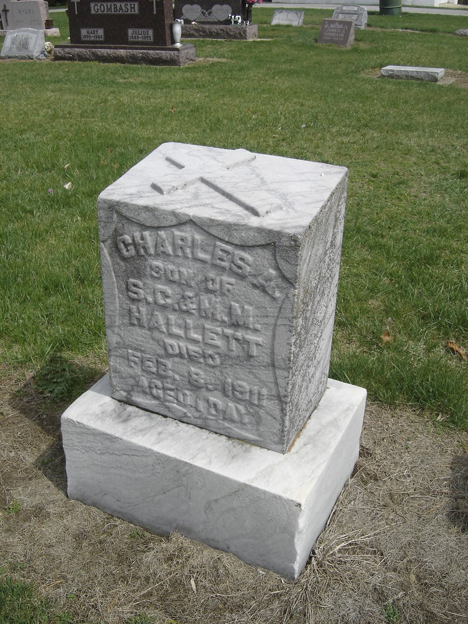 A Morbid Fascination St. Richard's Cemetery, Swanton, Ohio