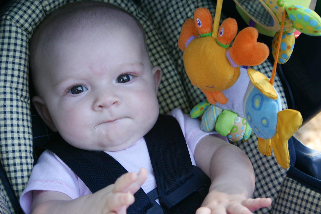 [babyinstroller.jpg]