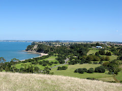 Year 6 camp at Shakespear Regional Park