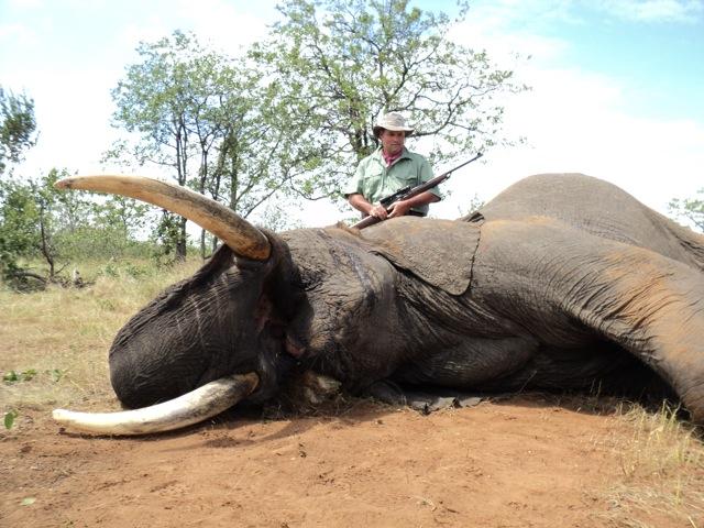 Trophy Elephant