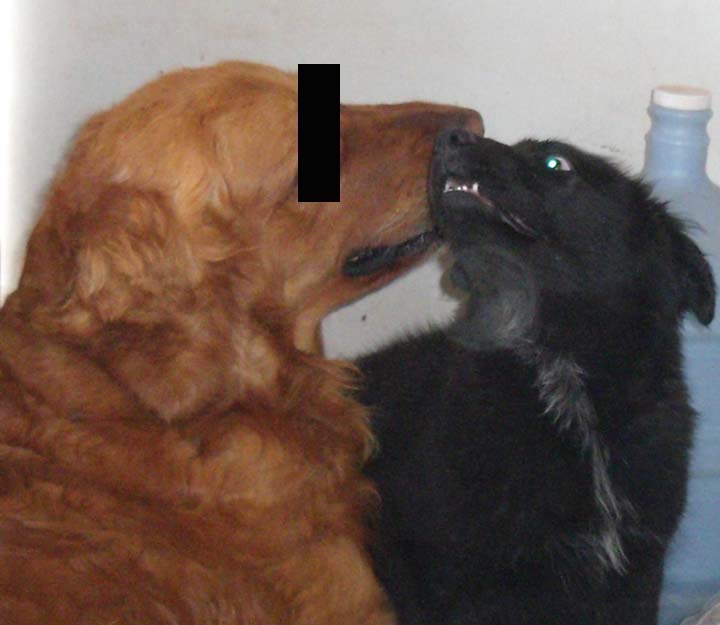 [lblaz+copy.jpg]