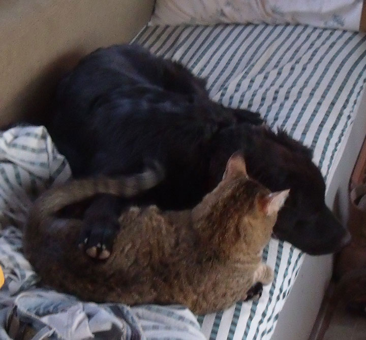 [frame-build-022.jpg]