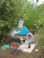 Last morning in our campsite