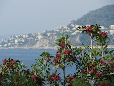 View from Saint-Jean-Cap-Ferrat