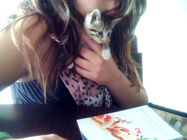 [Snapshot_20090728.jpg]