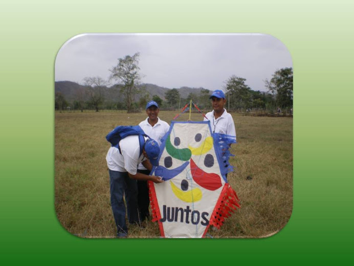 FESTIVAL DE LA COMETA