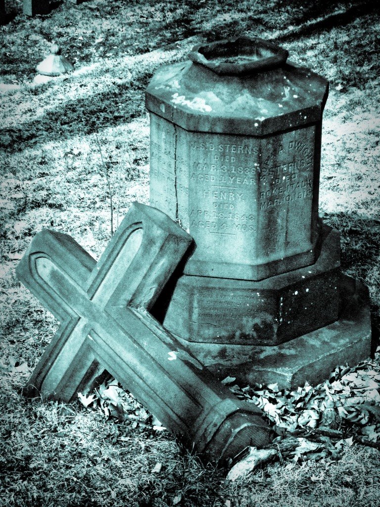 [img_0737a-768x1024.jpg]