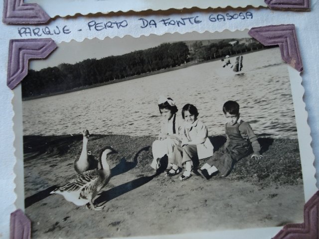 [eu+e+os+patos+-+pq.JPG]